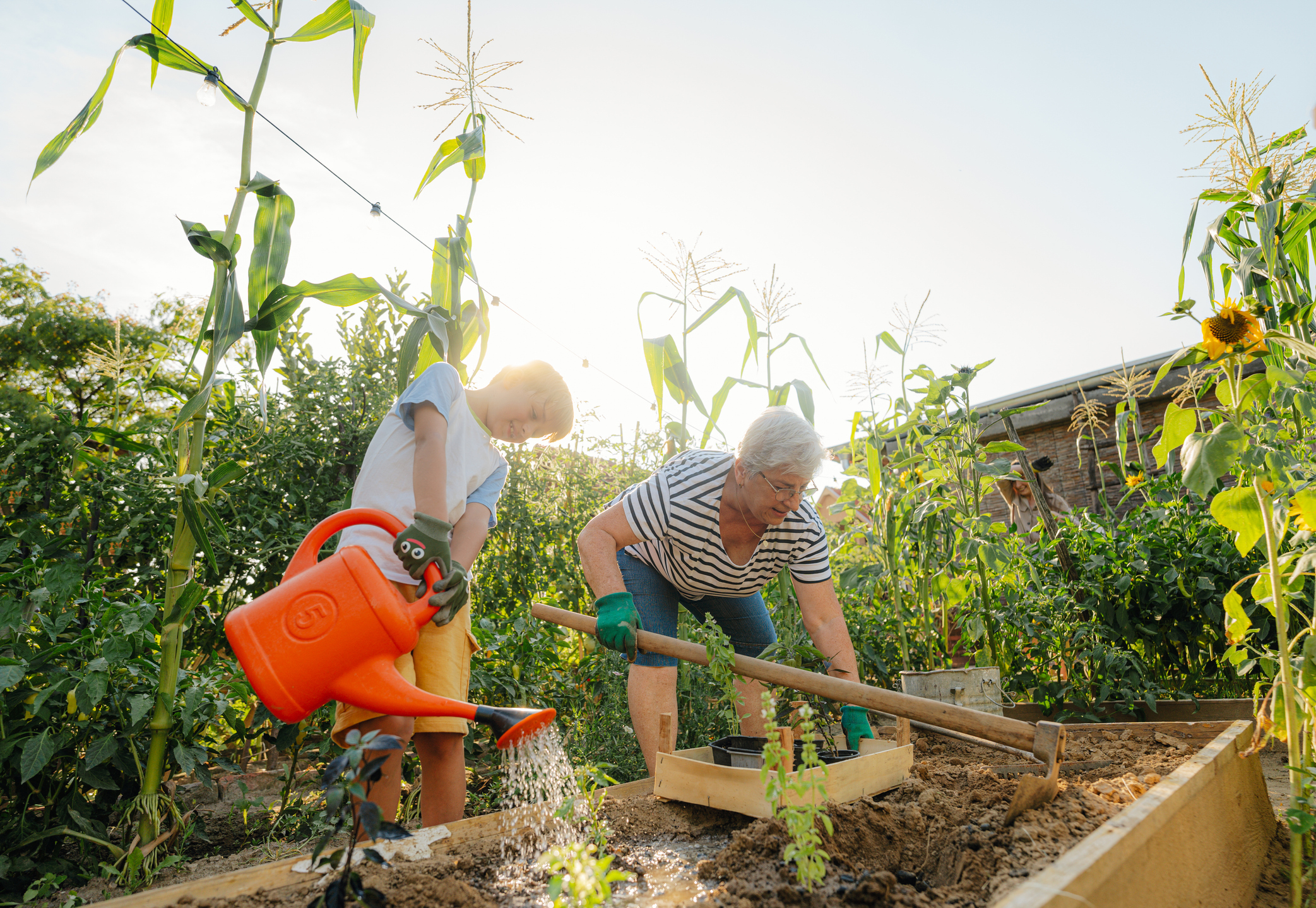Cultivez le bonheur et la santé grâce au jardinage